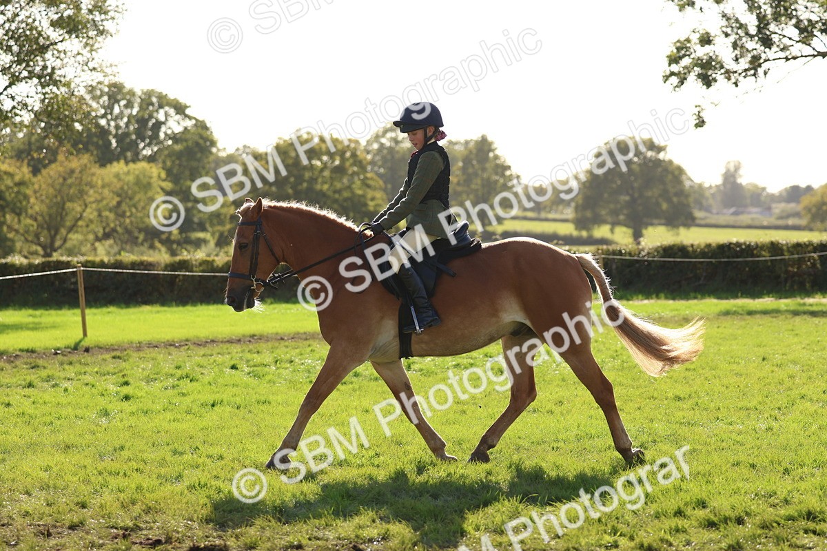 SBM_52447 - S13 - Pony Club Pony