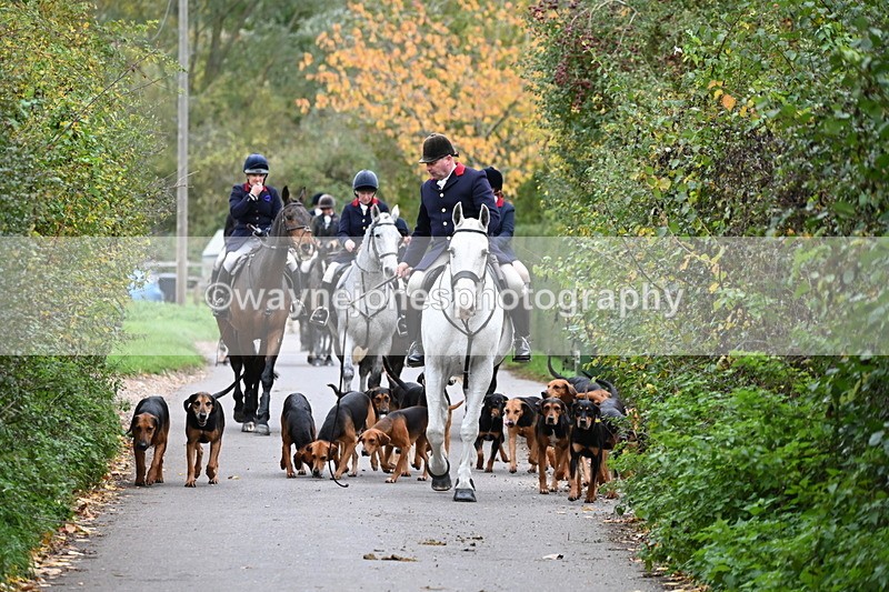 WJ6_8329 - Walk Home..