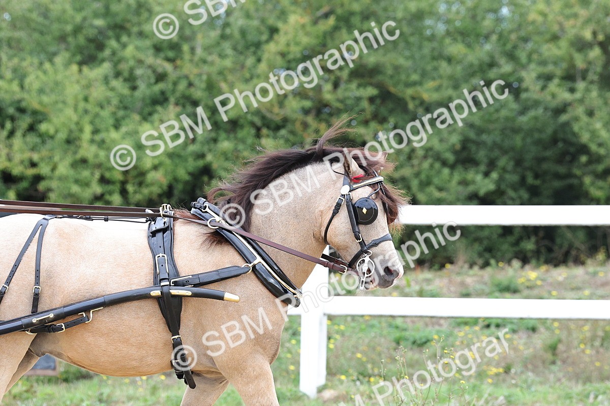 SBM_000369 - Class 4 - Junior Whip