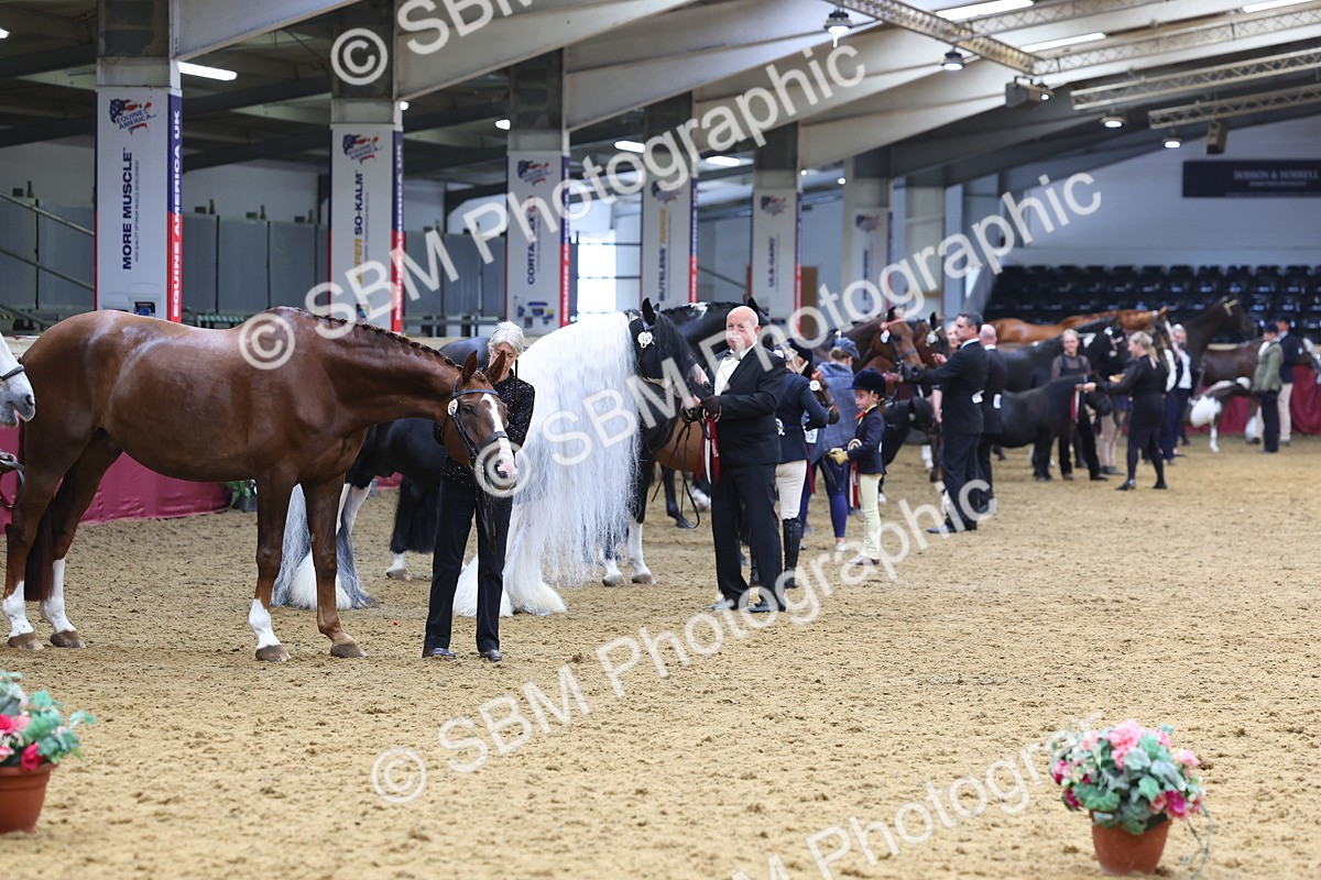 SBM_22921 - Class 903 - Supreme Final - IH Pre Vet