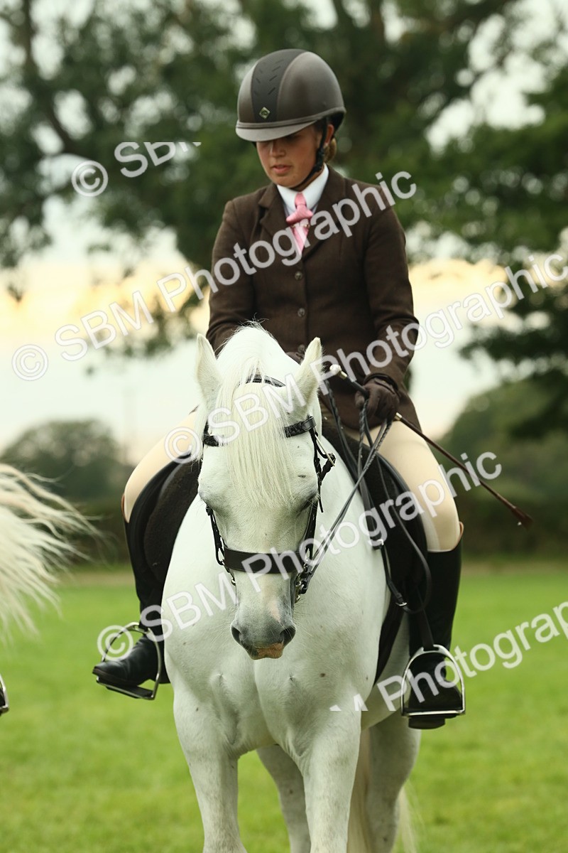 SBM_72267 - S60 - Mountain & Moorland Ridden Large Breeds