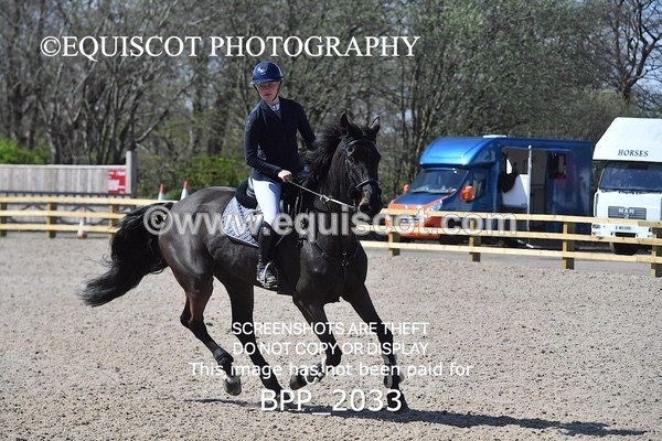 BPP_2033 - CLASS 21 SUN Senior 1.30m Open RHS Young Masters