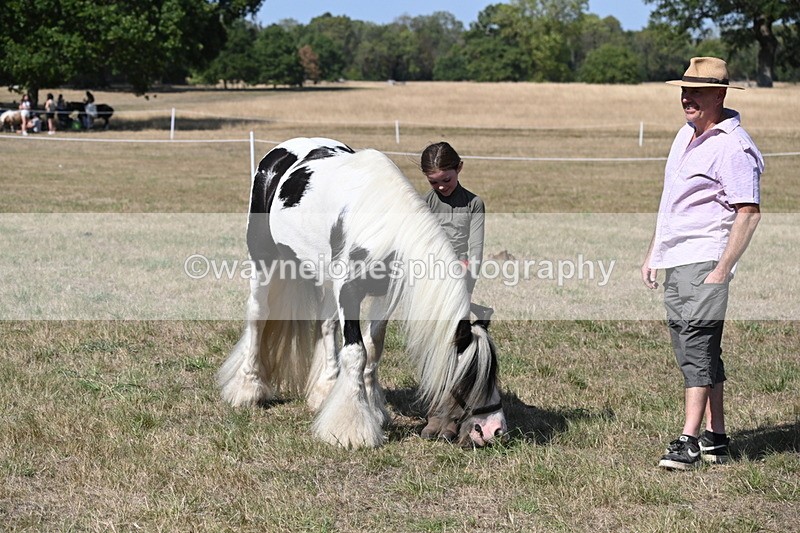 WJ6_9493 - Class 40 Cheekiest Pony/Horse