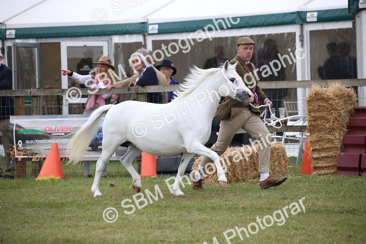 SBM_09775 - Ch 50 - Price Family Supreme In Hand