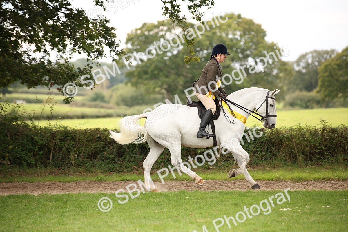 SBM_72408 - S67 - Show Cob Ridden