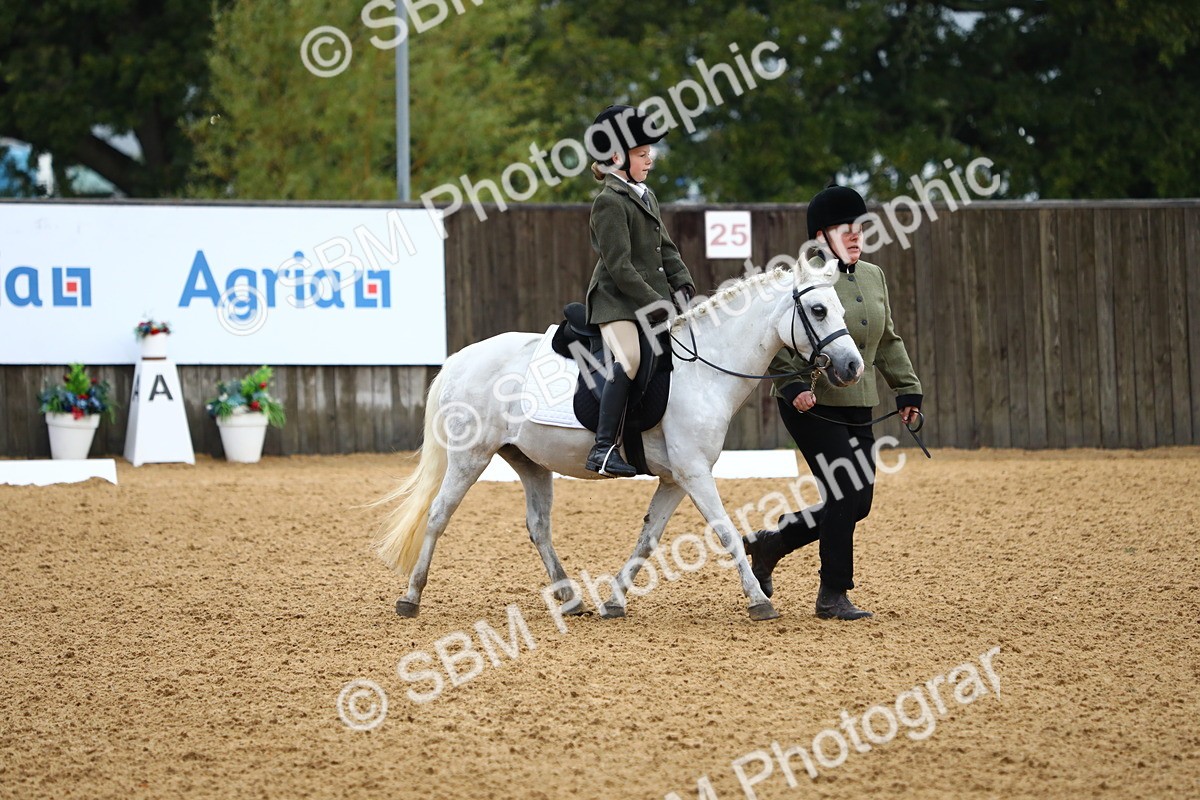 SBM_34542 - D26 - Starters Lead Rein