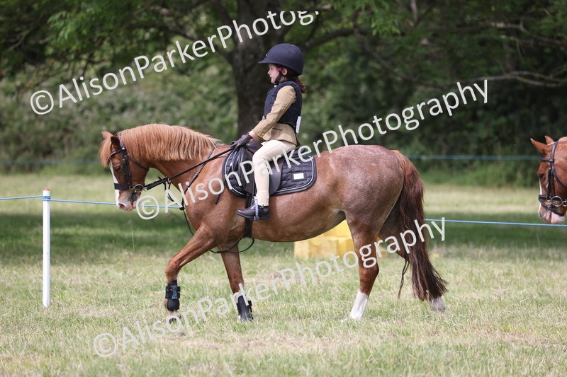 20260614-2119 - Class 21 - Novice Working Hunter Pony