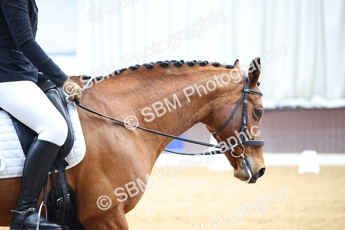 SBM_006948 - Class 17/14 - Novice & prelim FSM