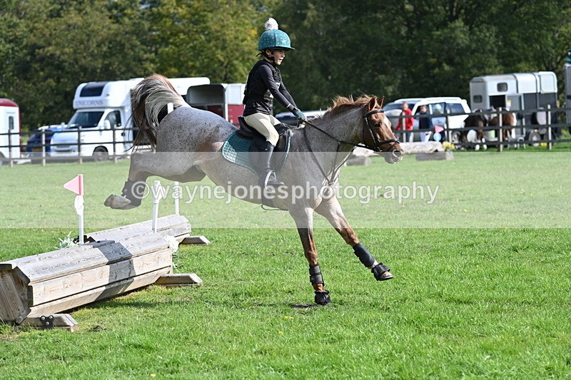 WJ7_4965 - 60cm Time 11:11 to 11:19