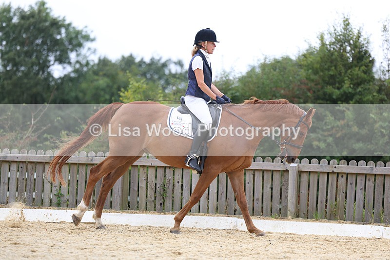 3E7A7226 - Class 9: Elementary 4 2024 - No sections