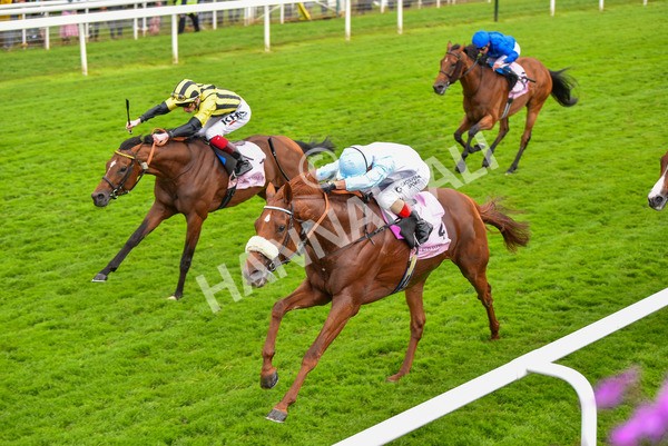 190523-Race 4-Giavellotto-0822 - Race 4 3.35pm Boodles Yorkshire Cup Stakes