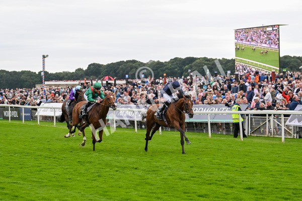 210824-Race 4-City Of Troy-5119 - Race 4 3.35pm Juddmonte International Stakes