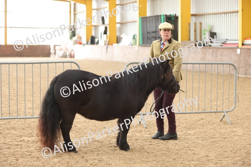 20251109-0104 - Class 5 - Mares 4 Years and over