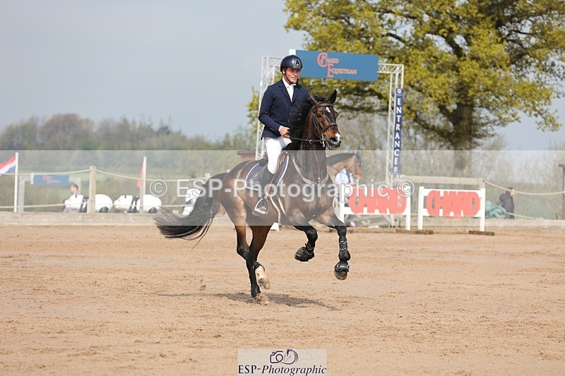 250424-103820-03146 - Cls 33 Young Horse 7yr old