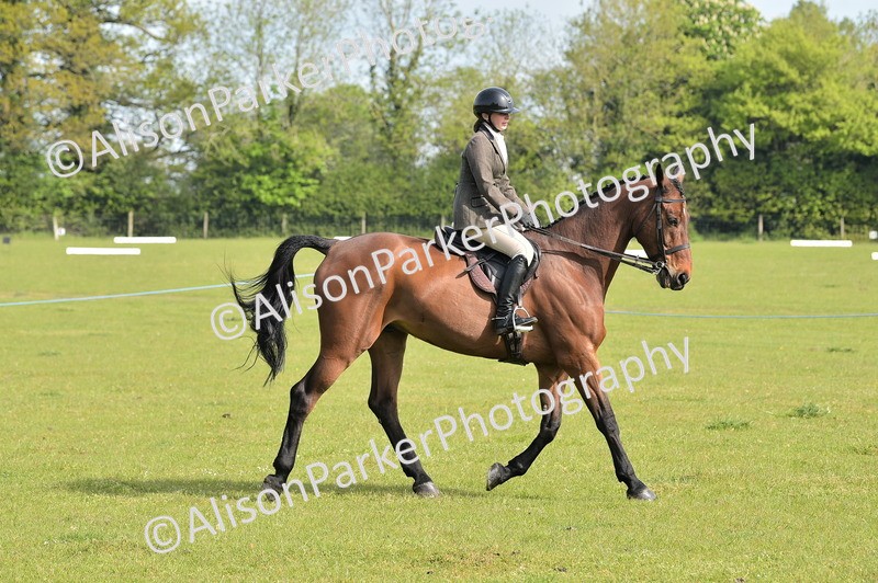 20260426-0927 - Class 18 - Novice Showing