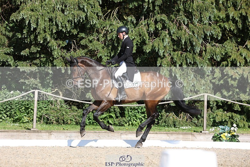 230526-170108-07889 - 174-LANCELOT_BMG-Alfie_Marshall-WEDTrotUp+DR