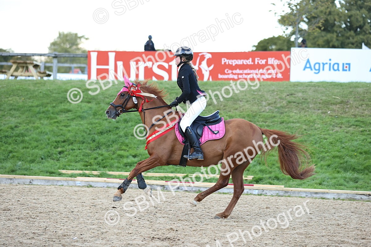 SBM_54456 - Supreme Championship 70cm 75cm