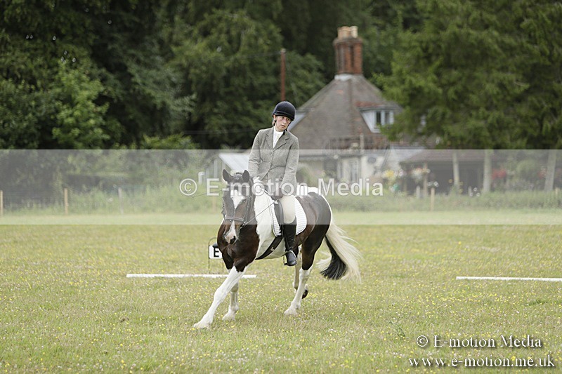BVR160717-1174 - Class 2 Dressage 16/07/17