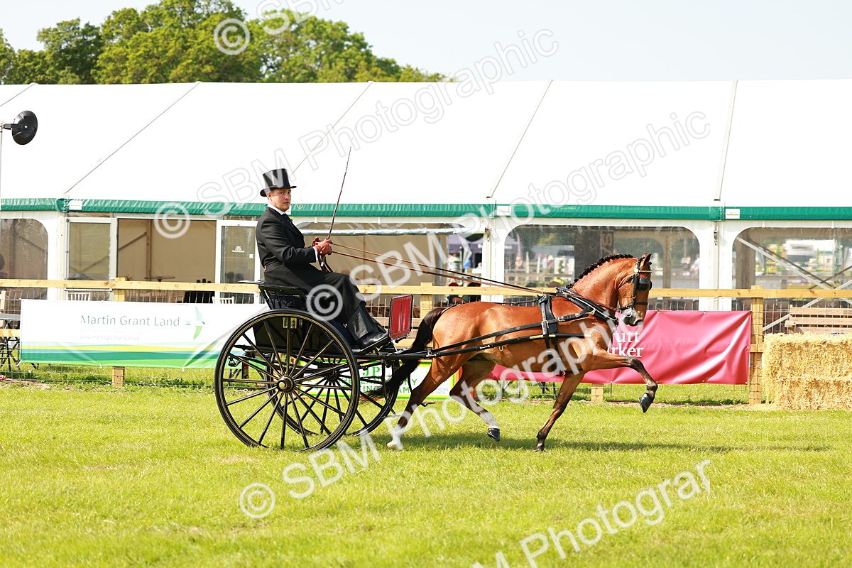 SBM_02575 - Class 2-4 - HOYS Private Driving