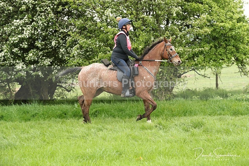 SPXX5319 - 8