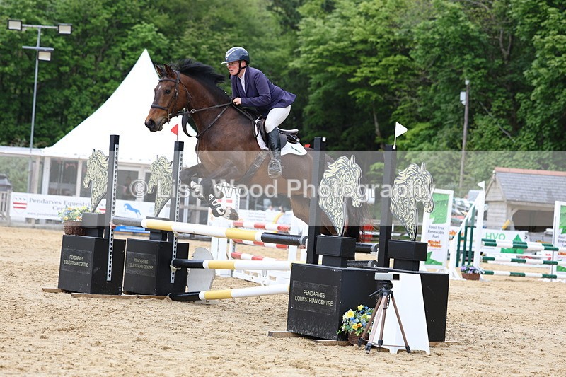 3E7A6228 - Class 4: Senior British Novice/90cm open