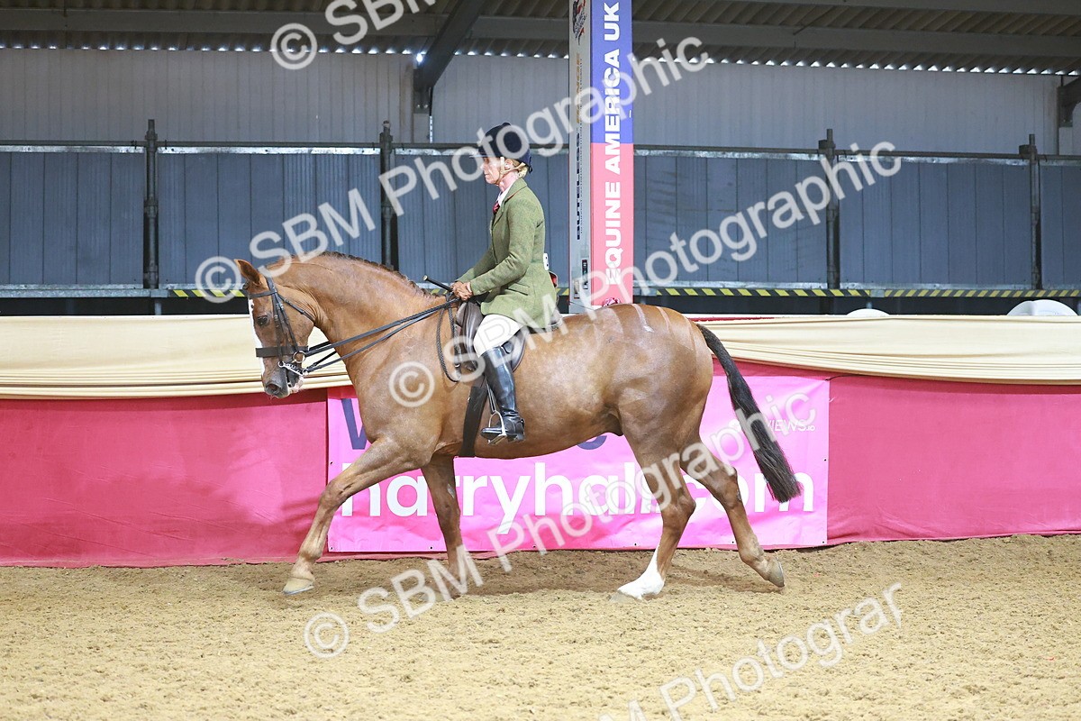 SBM_12479 - Class 103 - HOYS Veteran Qualifier - Ridden Pre Vet