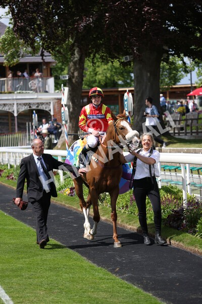 yr10062022r3-46 - Race 3 3.00pm British EBF supporting Racing with Pride Fillies' Handicap