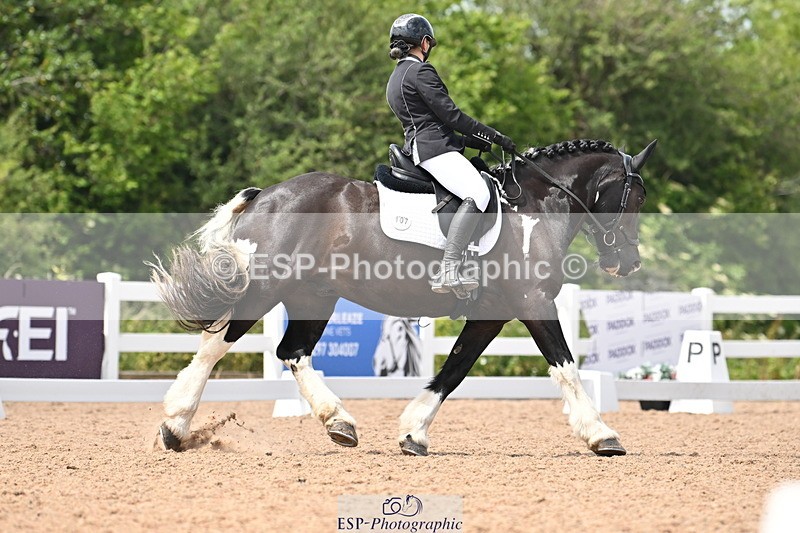 240621A-143943-03983 - Cls 11 BD Medium 73