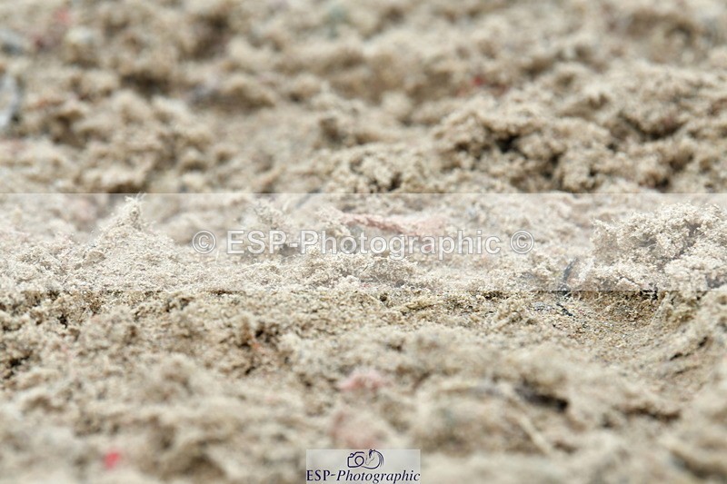 230804A-104829-02016 - Musical Ride