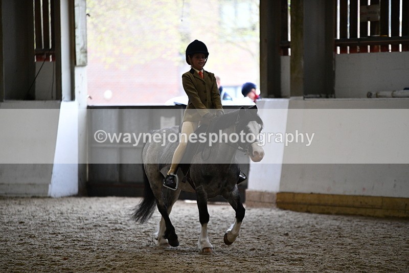 WJ5_6878 - Class 10 Childs Pony