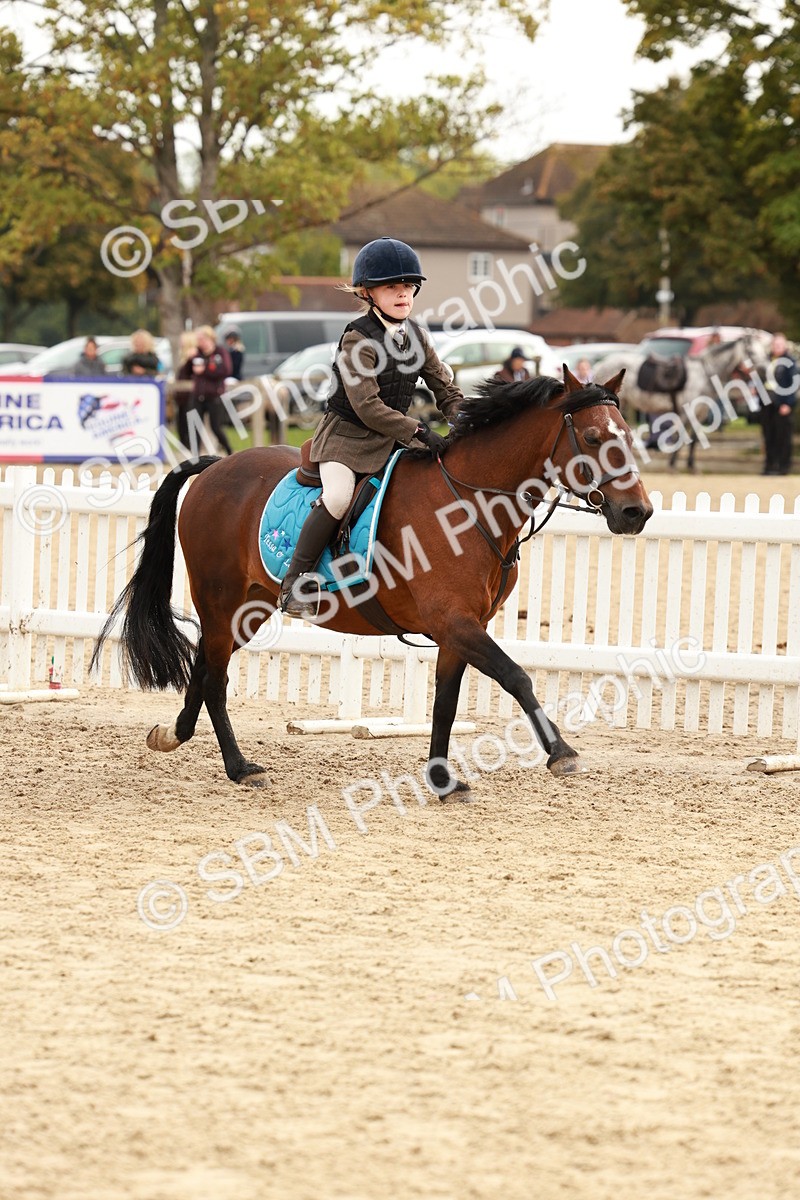 SBM_57737 - J11 - Junior Pony 50cm Championship