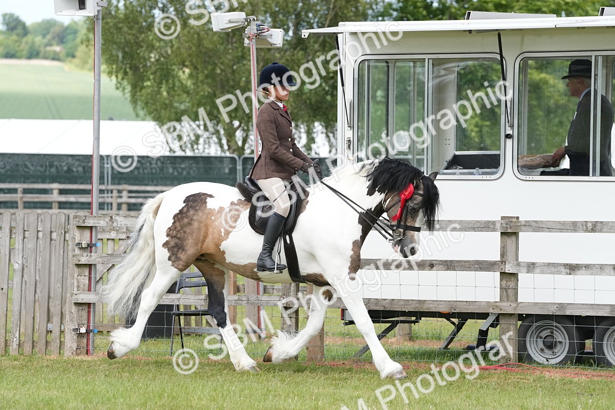 SBM_17643 - Class 107-108 - LIHS BSPS Performance Coloured Horse Pony