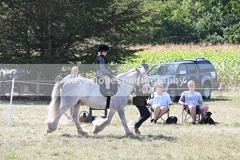 WJ6_7911 - Class 36 Lead Rein