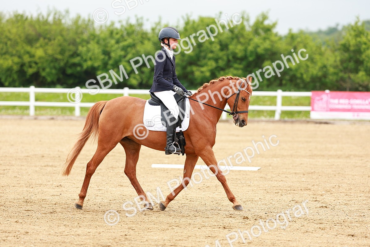 SBM_005235 - Class 16 - Novice 6