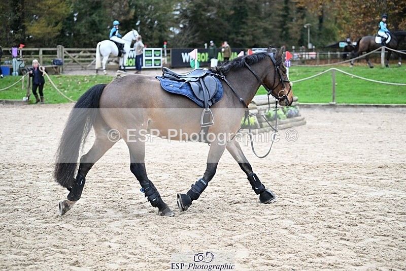 241116-112949-00988 - Cls 2 80-85cm Start to 11.30