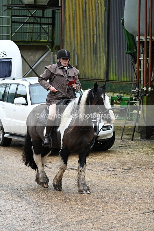 WJ7_8745 - Berks & Bucks - Rowles Farm 15-02-26