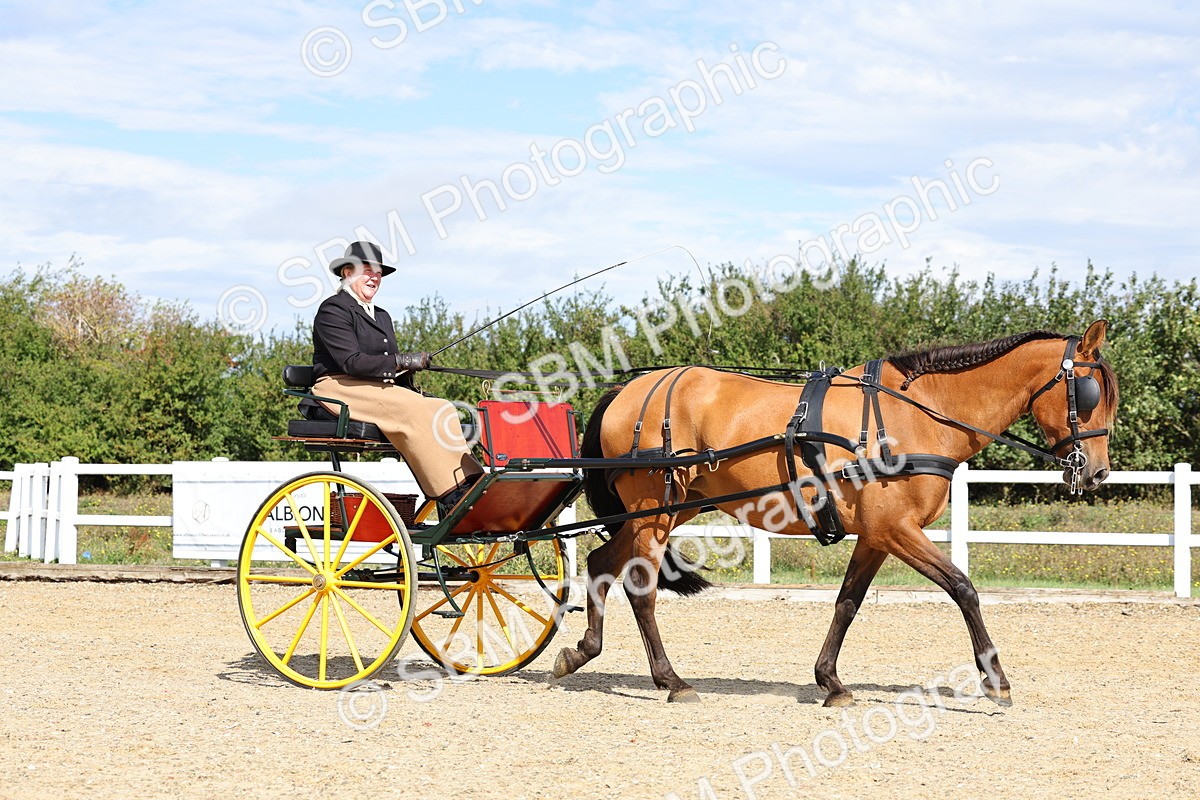 SBM_000854 - Class 8 - Novice Horse or Pony to any vehicle