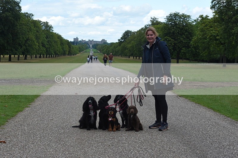 TT3_0475 - Time at Crossing 14:53 to 1526