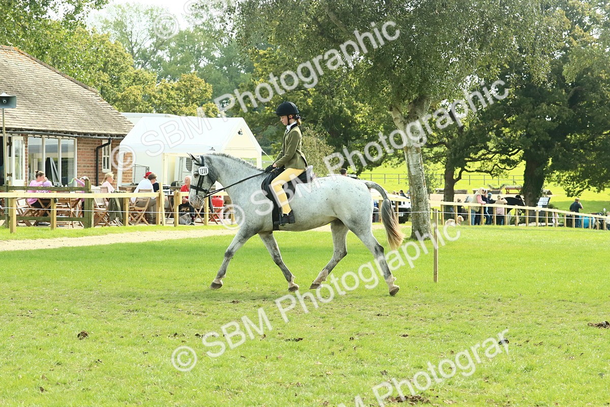 SBM_67533 - S56 - Coloured Pony Ridden