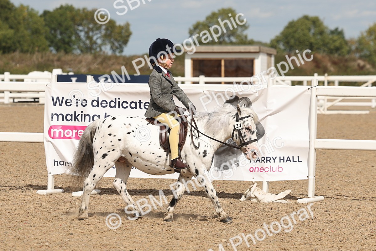 SBM_15875 - Class 310 - First Ridden Pony