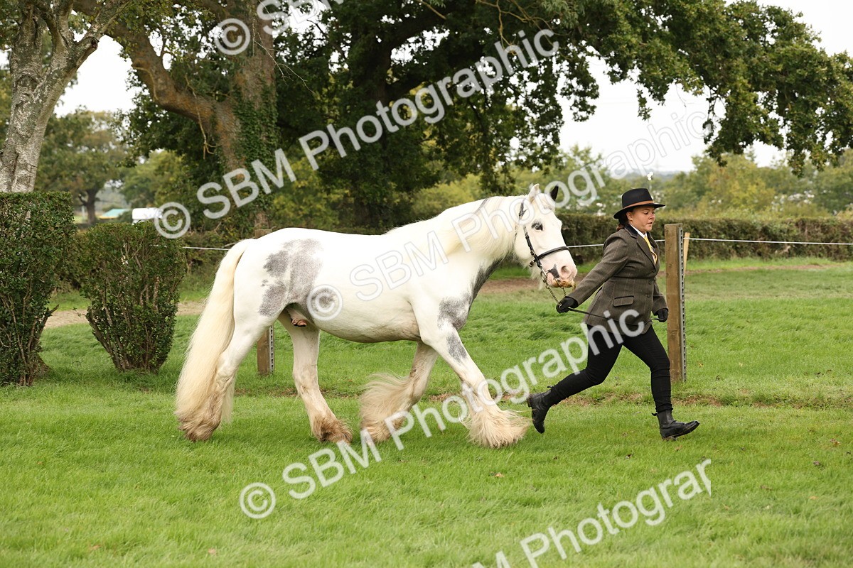 SBM_59263 - S57 - Traditional Cob In Hand