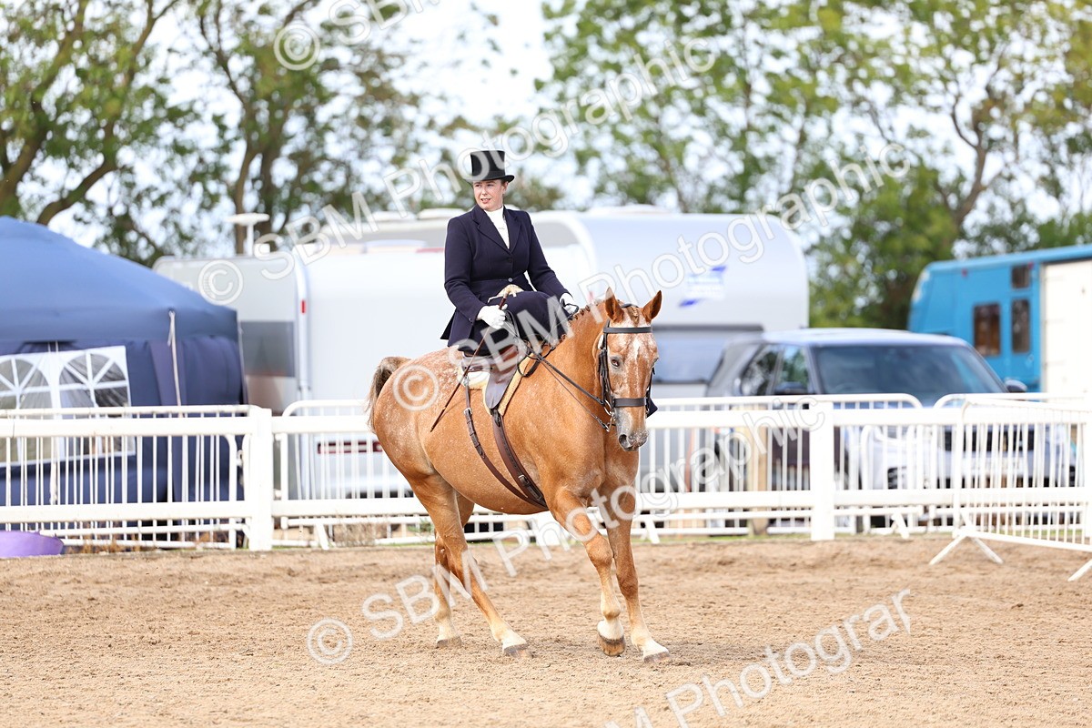 SBM_03246 - Class 22 - SSA Equitation (any age)