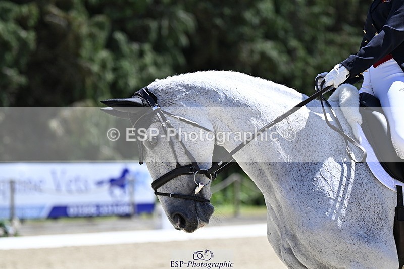 250522A-134913-04140 - D-401-Laura.Collett-HESTER