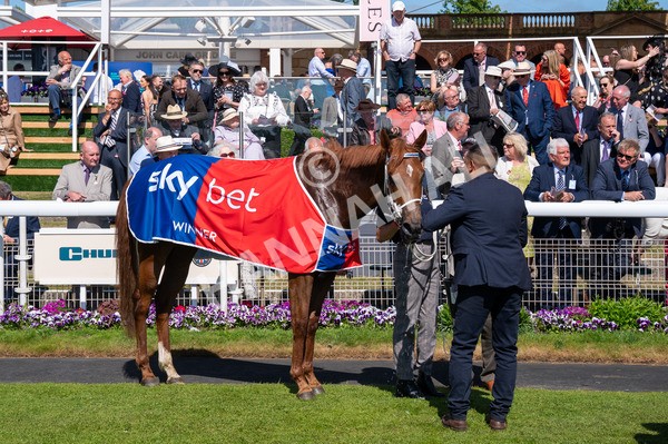 160525-Race 3-Kon Tiki-6373 - Race 3 3.13pm Sky Bet Fillies' Stakes