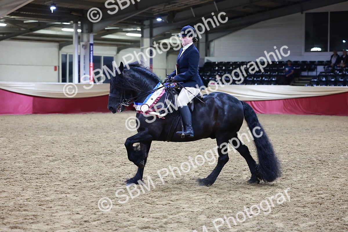 SBM_20927 - Class M - Equitation Champ