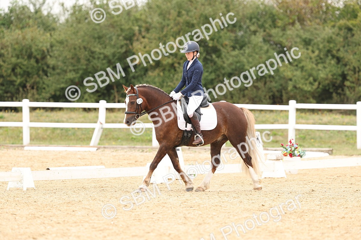 SBM_01032 - Class 8 - Novice 27 Champs