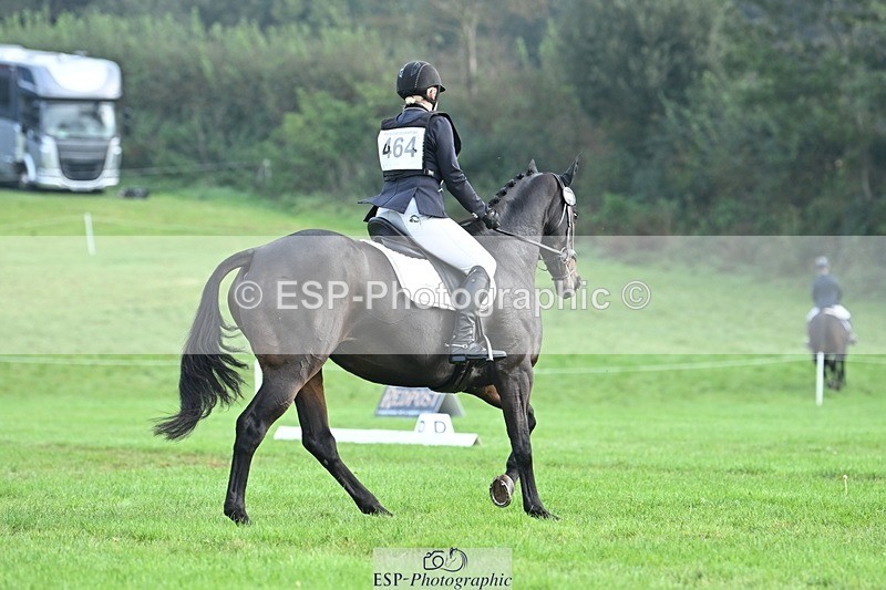 231020-094531-05752 - 464-IMPERIAL.TANGLE-Deborah.Burrell-DR