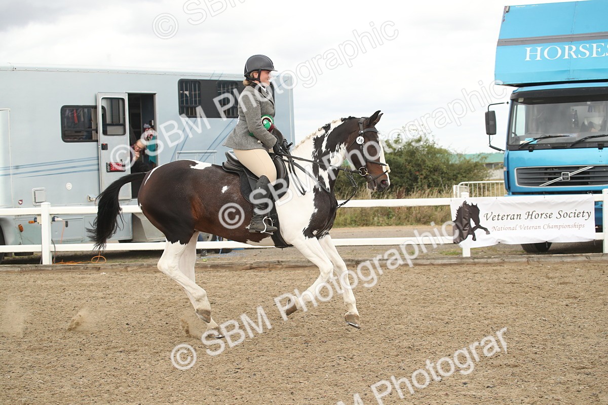 SBM_16722 - Class 507a - Working Veteran - 60cm (15-19)