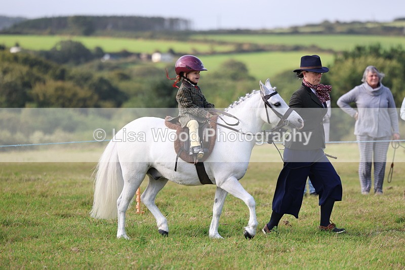 3E7A3347 - Class 2: Lead rein