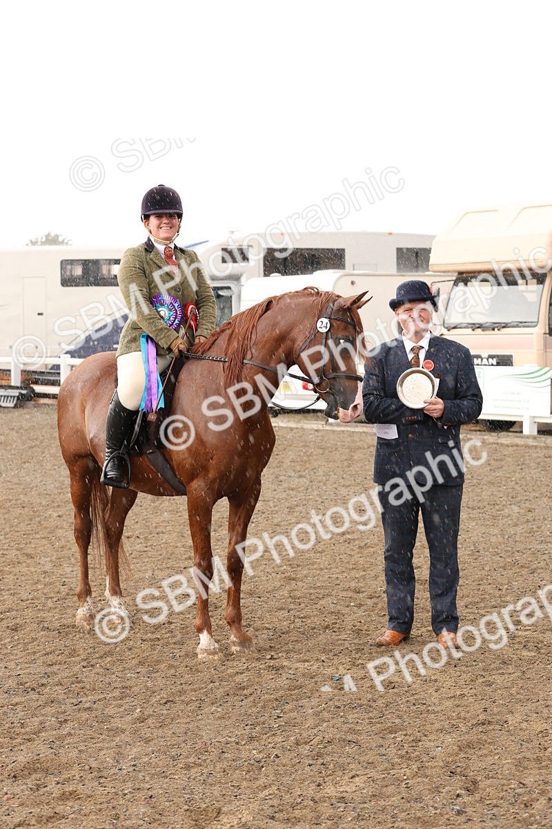 SBM_07597 - Class 59b -  Style & Performance - 80cm (20+)